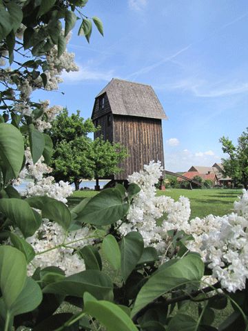 Bockwindmühle Althüttendorf