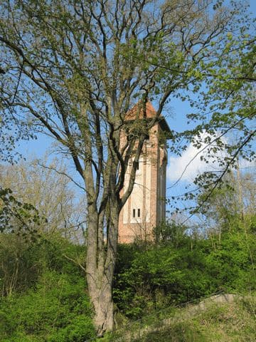 Kaiser-Friedrich-Turm auf dem Schlossberg