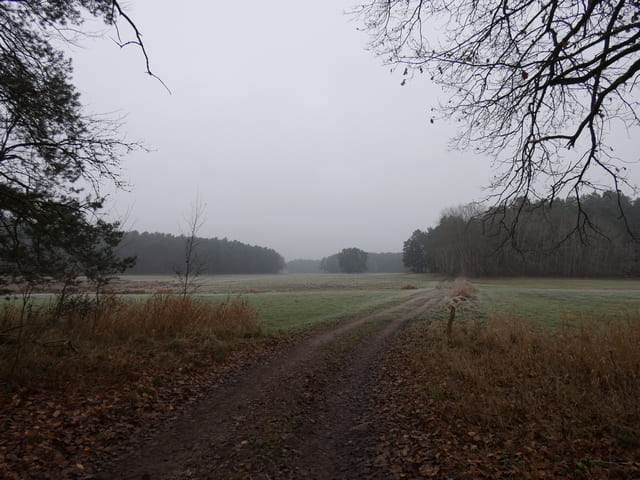 Landschaft im Finowtal