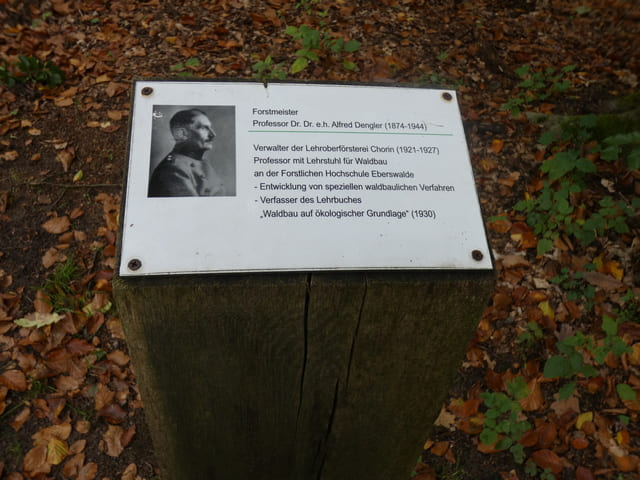 Gedenktafel an den Forstmeister Alfred Dengler