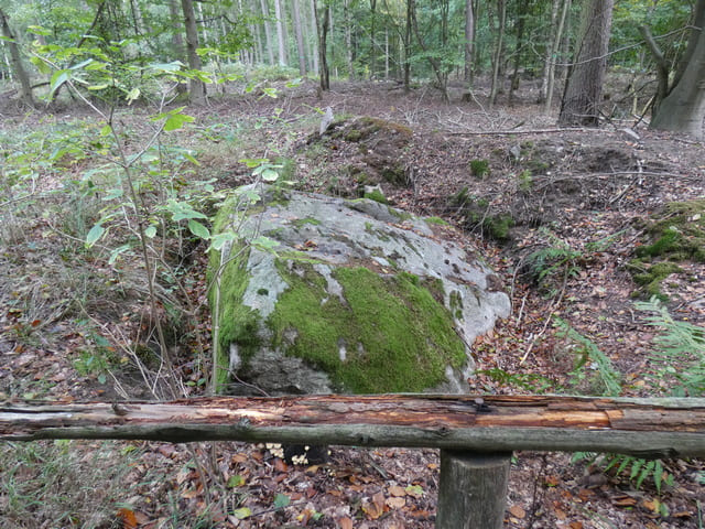 NSG Plagefenn, Naturdenkmal "Klosterstein"