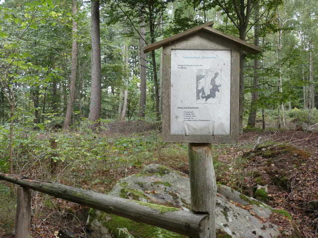 NSG Plagefenn, Naturdenkmal "Klosterstein"
