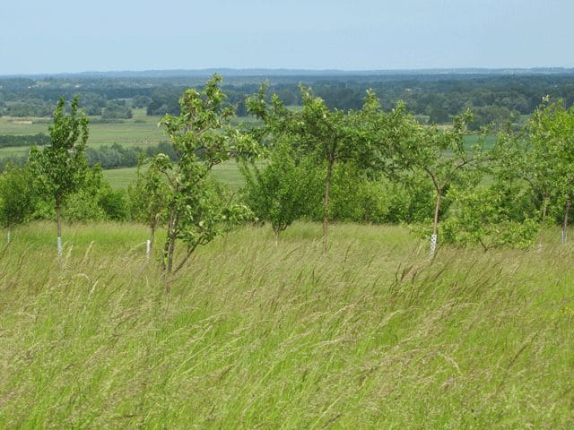 Landschaft bei Hohenfinow