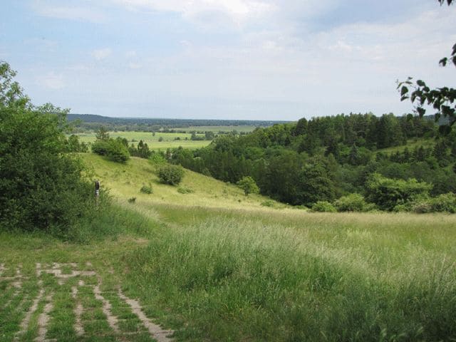 Landschaft bei Hohenfinow