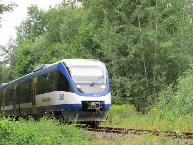 Heidekrautbahn am Bahnhof Lottsche-See