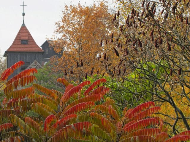 Kirche hinter Herbstlaub versteckt