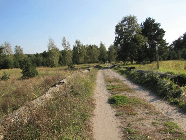 Schönower Heide