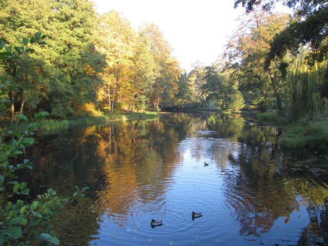 Die Schwärze in Spechthausen