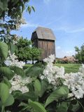 Bockwindmühle Althüttendorf