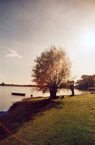 Stimmung am Hohennauener See