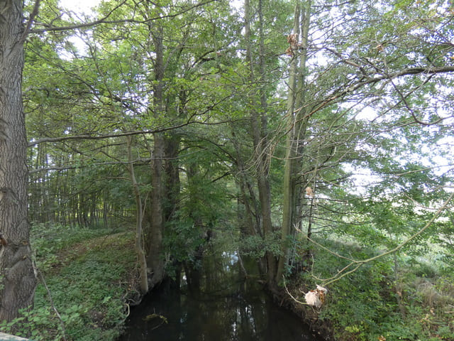 Dahme bei Sagritz