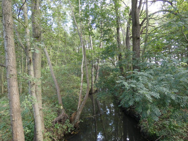 Dahme bei Sagritz