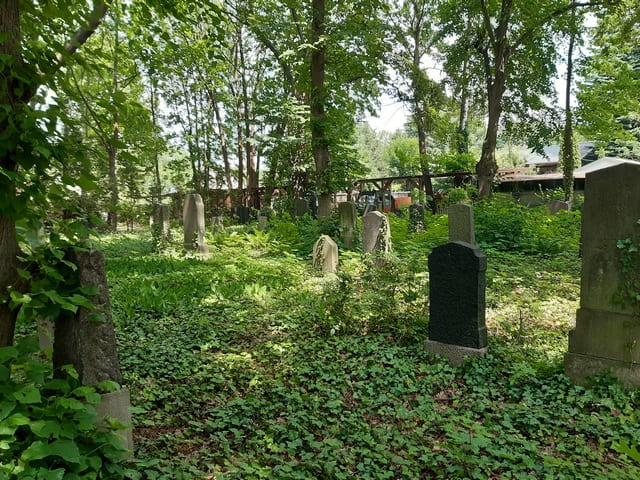 Alter Dorffriedhof Zernsdorf