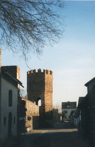 Stadtmauer mit Mäuseturm