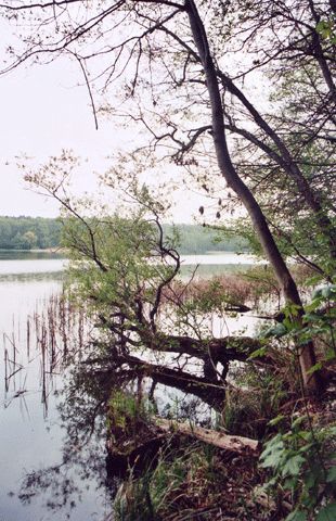 Heinersdorfer See