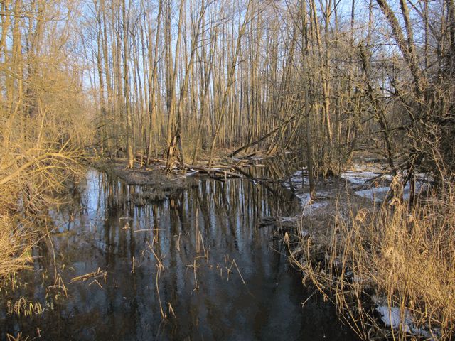 An der Löcknitz