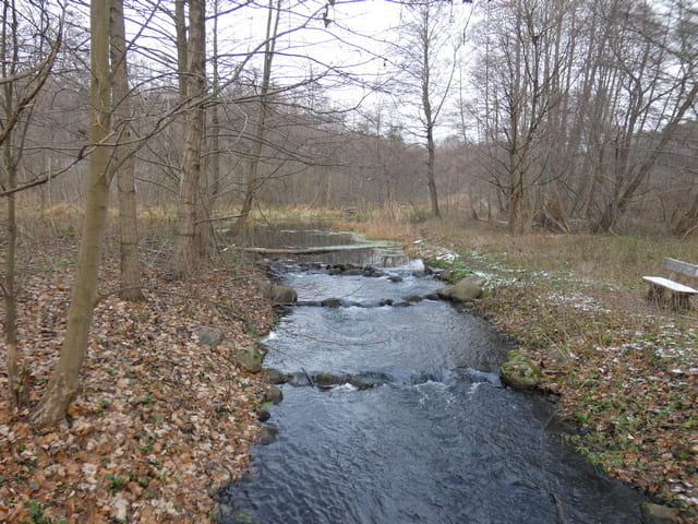 Fischtreppe in der Löcknitz in Klein Wall