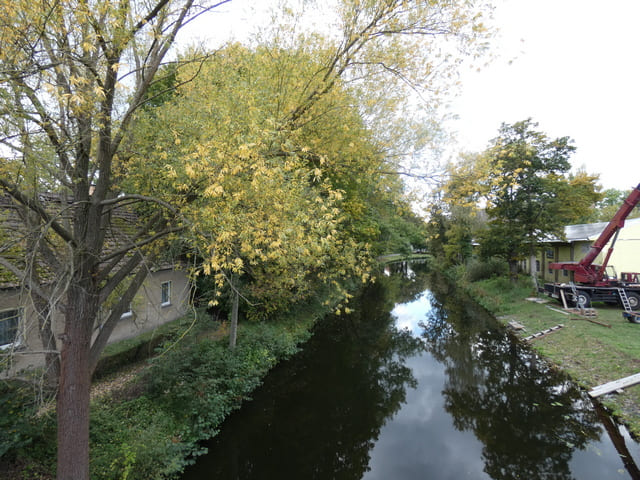 Storkower Kanal