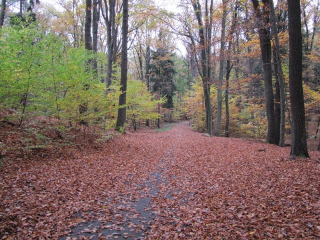 Weg von Rauen zu den Markgrafensteinen