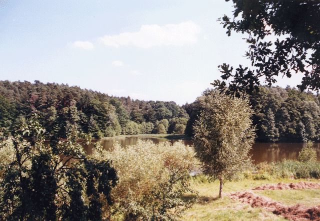 Nähe Schwerzkoer Mühle