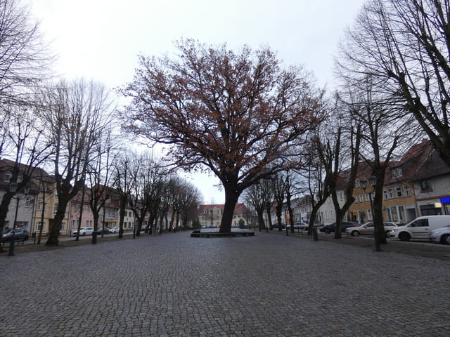 Storkower Markt mit Friedenseiche