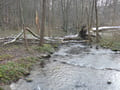 Fischtreppe in der Löcknitz in Klein Wall