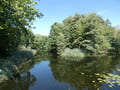 Ausblick vom Fisch-Haus