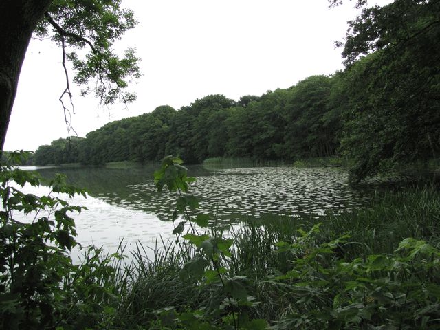 Hohenjesarscher See bei Alt Zeschdorf