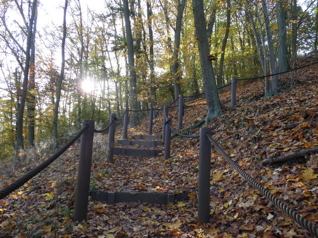 Aufstieg zum Aussichtsturm auf dem Galgenberg