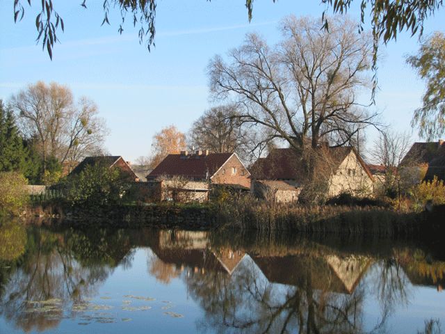 Spiegelungen am Teich