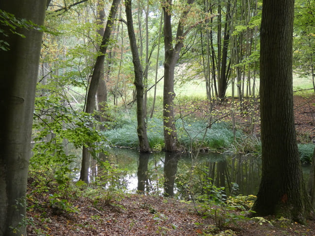 Stobbertal in der Nähe der Güntherquelle