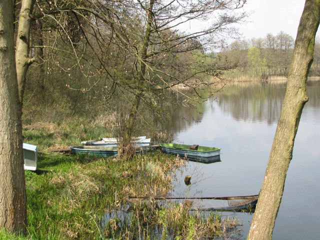 Sternebecker See