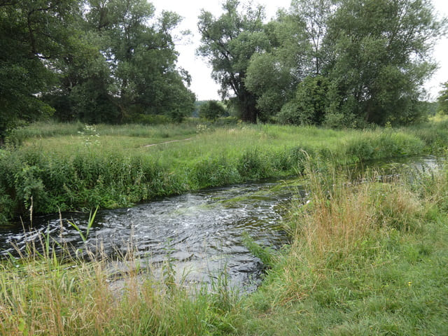 Erpe in der Wohnsiedlung Heidemühle