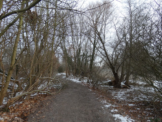 Weg von der Berliner Straße zum Haussee