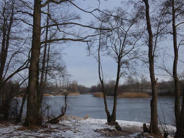 Haussee