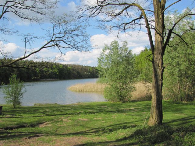 Gamensee