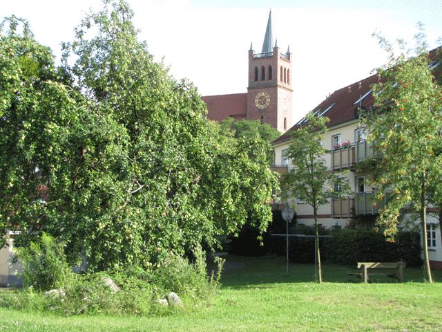 Stadtpfarrkirche St. Marien