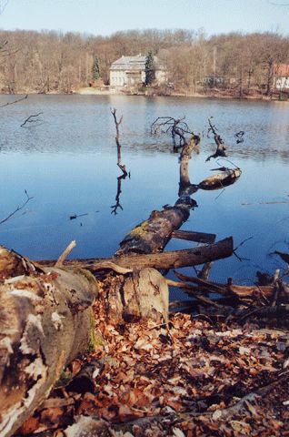 Großer Tornowsee, Blick auf das Herrenhaus Tornow