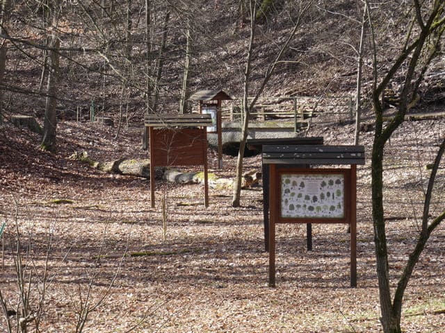 Lehrpfad am Forsthaus