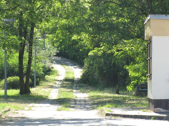 Weg zum Fernmeldebunker Kunersdorf