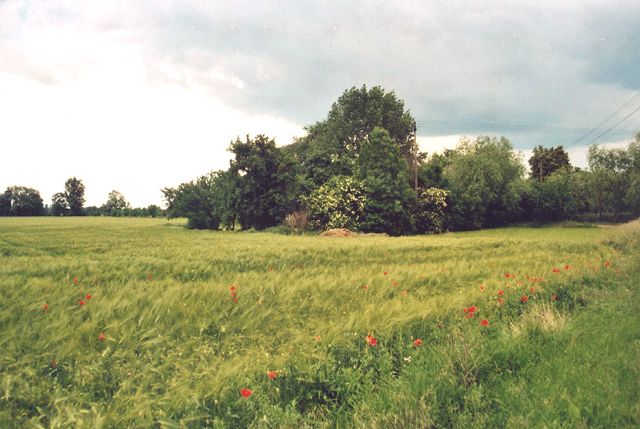 Landschaft in Wilhelmsaue