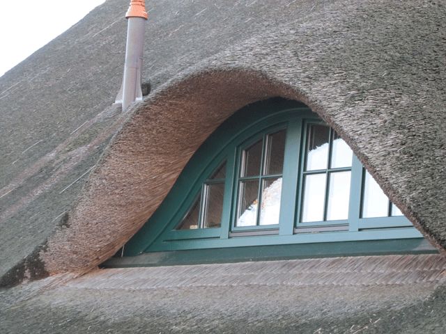 Kolonistenhaus, Detail