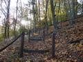 Aufstieg zum Aussichtsturm auf dem Galgenberg