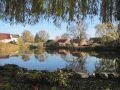 Spiegelungen am Teich