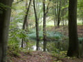 Stobbertal in der Nähe der Güntherquelle