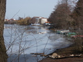 Straussee-Ufer