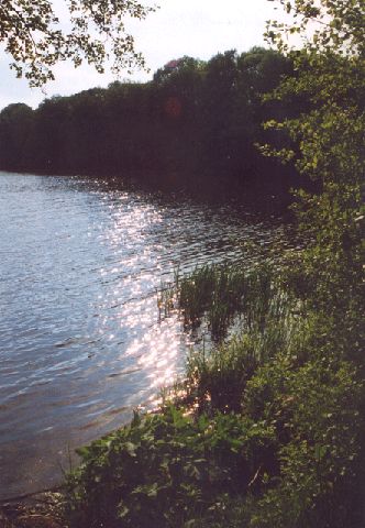 Lehnitzsee