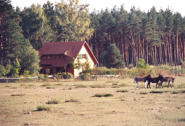 Wildpferdgehege und Haustierpark Liebenthal