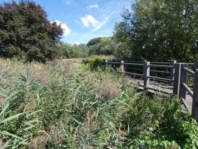 Steganlage am Mühlensee bei Neu-Schwante