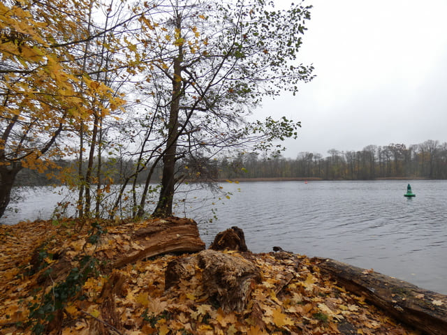 Lehnitzsee im November